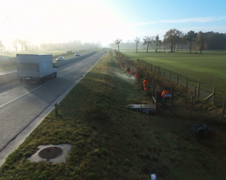 Aanplanting Openbaar Groen