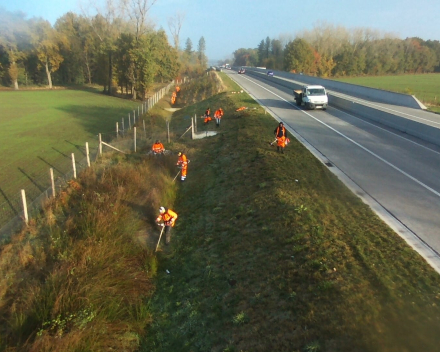 Aanplanting Openbaar Groen