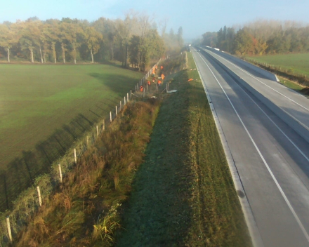 Aanplanting Openbaar Groen