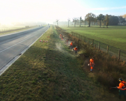 Aanplanting Openbaar Groen