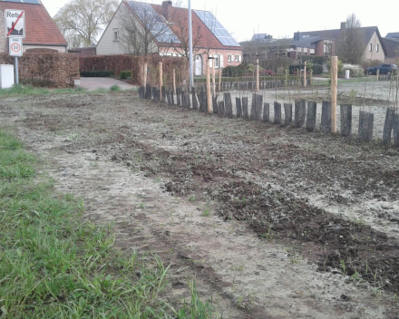 Aanplanting Openbaar Groen