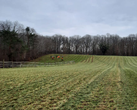 Bosaanplanting werken